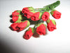 MAZZO 24 ROSE ROSSE